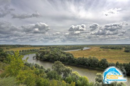 Десна - левый приток Днепра