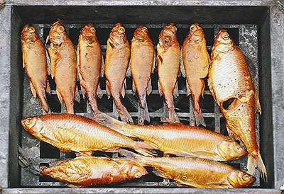 Рецепты засолки и копчения рыбы.