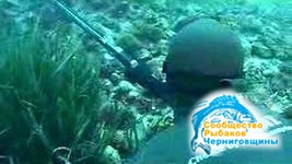 Цикл передач "Мир подводной охоты" выпуск №4