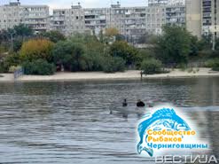 В Одесской области запретили ловить рыбу в зимний период