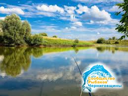 В Украине облегчат вылов рыбы