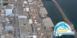 Выловленные у "Фукусимы" морепродукты появились в магазинах