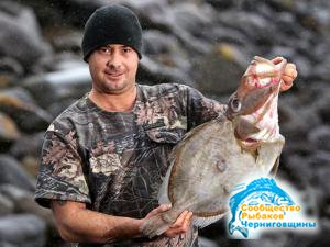 В Новой Зеландии поймана рекордная рыба апостола Петра 