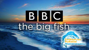 BBC готовит масштабное рыболовное шоу