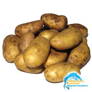 Насадки из картофеля