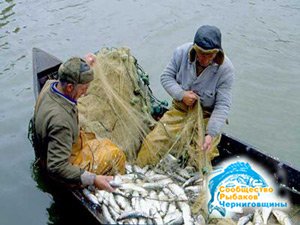 Днепр закрыт для рыболовного промысла 