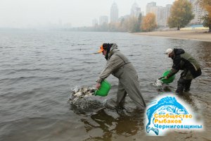 Громада рыболовов Украины призывает поддержать инициативу по зарыблению Днепра 