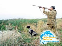 Разрешения на охоту будут выдавать с учетом интересов местных жителей