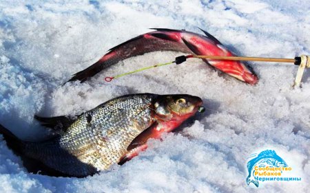 Секреты зимней рыбалки