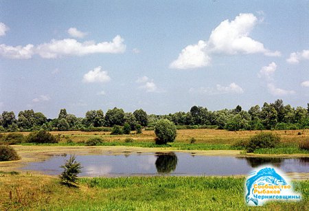 Мелкие реки Черниговской области