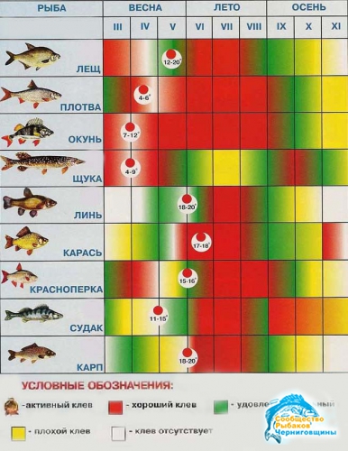 Календарь рыболова на 2013 год