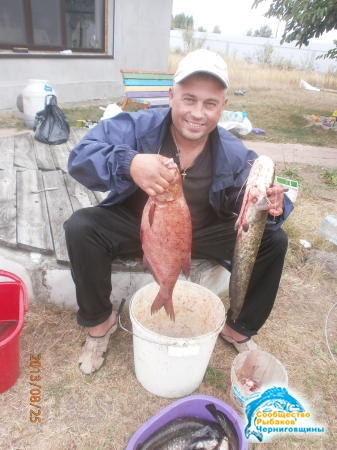 Фото отчет о рыбалке - фото знакомых