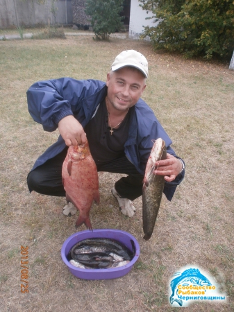 Фото отчет о рыбалке - фото знакомых