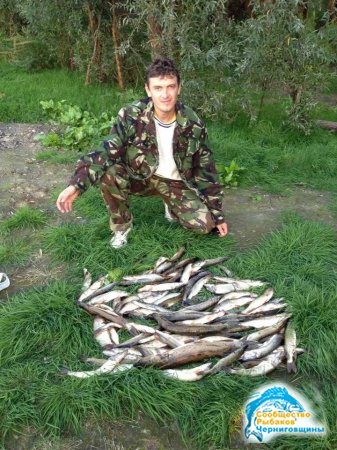 Фото отчет о рыбалке - друзья маханули
