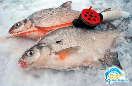 Маленькие хитрости -Зимней рыбалки
