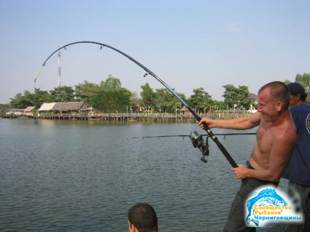 Спортивная и простая рыбалка - в чем разница?