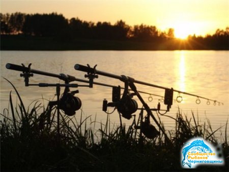 Как выбрать место для рыбалки в Беларуси