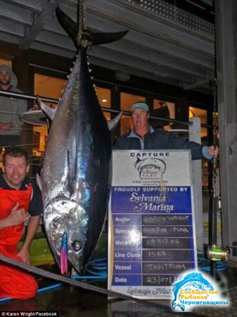 В Австралии установлен новый рекорд по ловле тунца среди женщин 