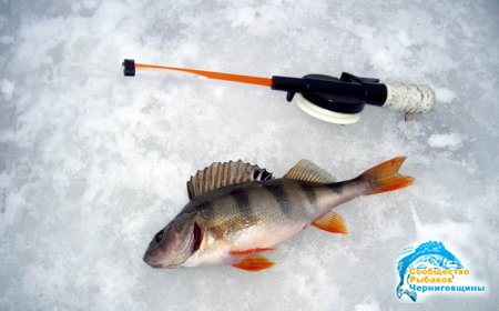 Зимняя рыбалка в Украине 2015