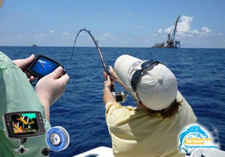 Видеокамеры для рыбалки и их преимущества перед обычными удочками